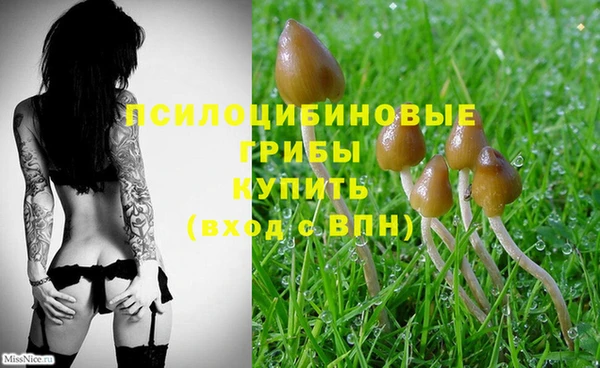 гашиш Кулебаки