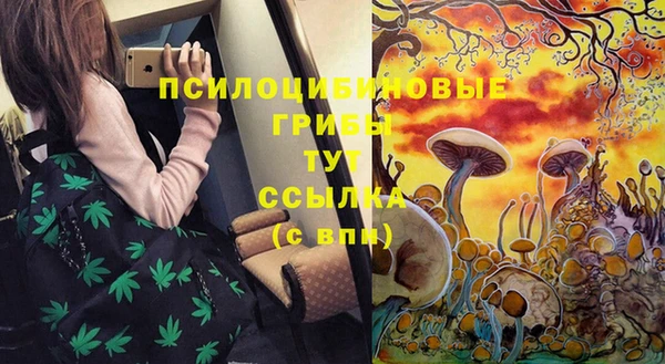 твердый Кукмор
