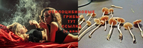 твердый Кукмор