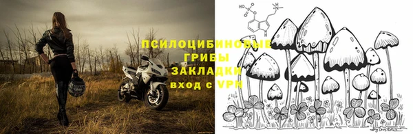 твердый Кукмор